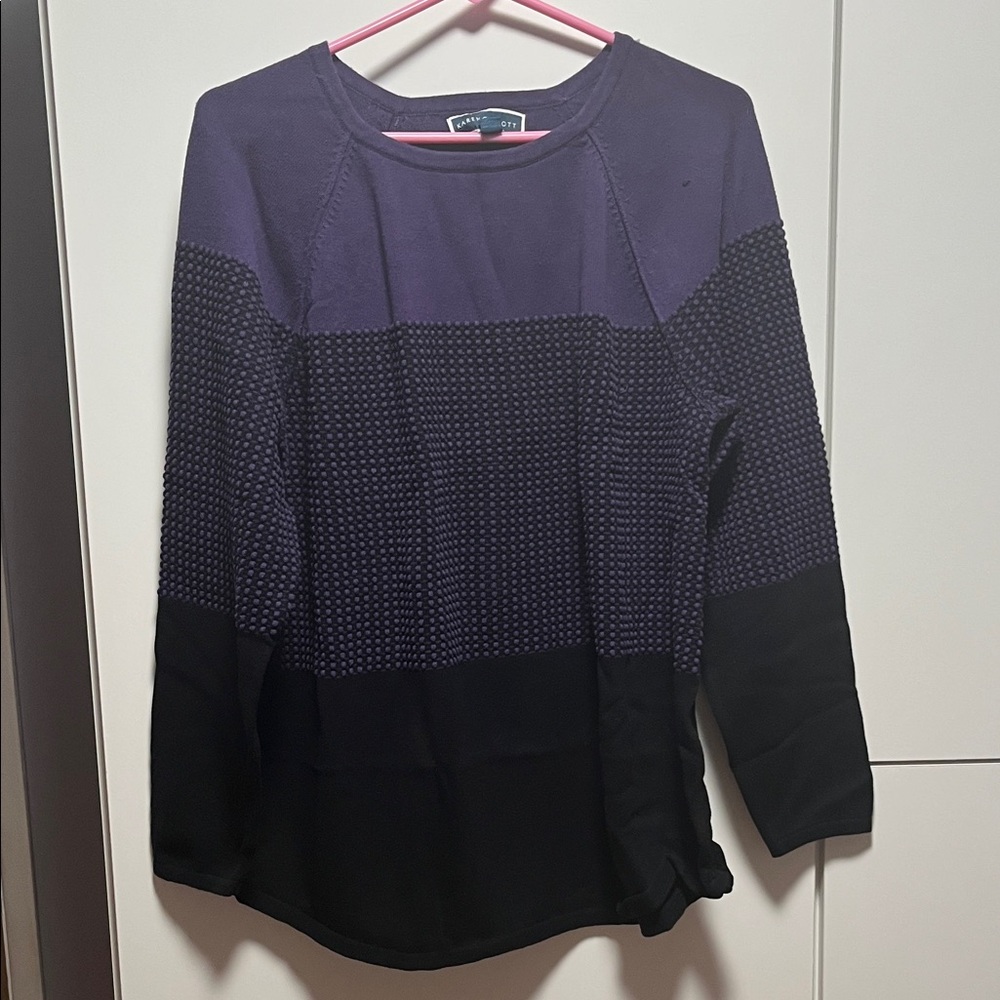 Karen Scott Purple and Black Crew Neck Sweater